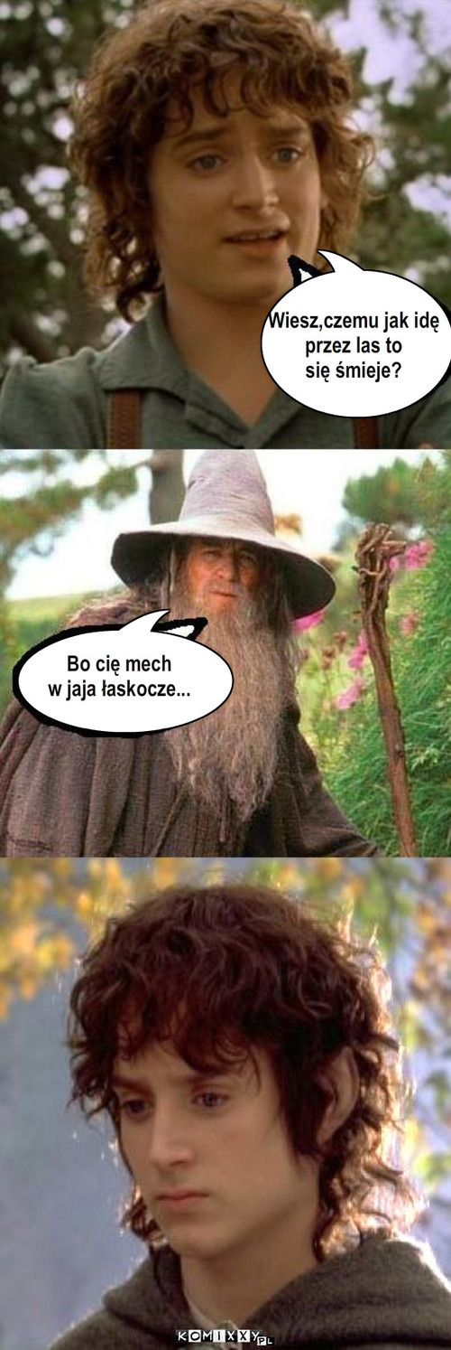 Frodo – Wiesz,czemu jak idę 
przez las to 
się śmieje? Bo cię mech
w jaja łaskocze... 