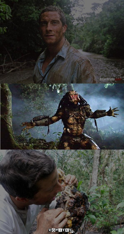 predator vs bear grylls –  