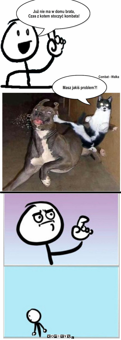 Kung Fu Cat – Już nie ma w domu brata, 
Czas z kotem stoczyć kombata! Combat - Walka Masz jakiś problem?! 