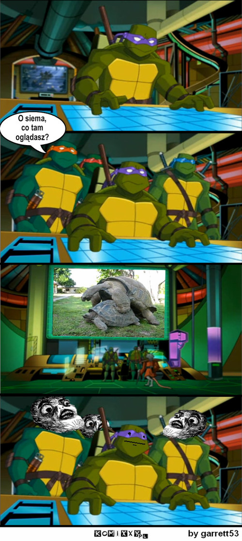 Wojownicze żółwie – O siema,
co tam 
oglądasz? 