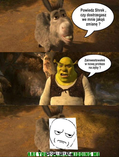Shrek i osioł –  