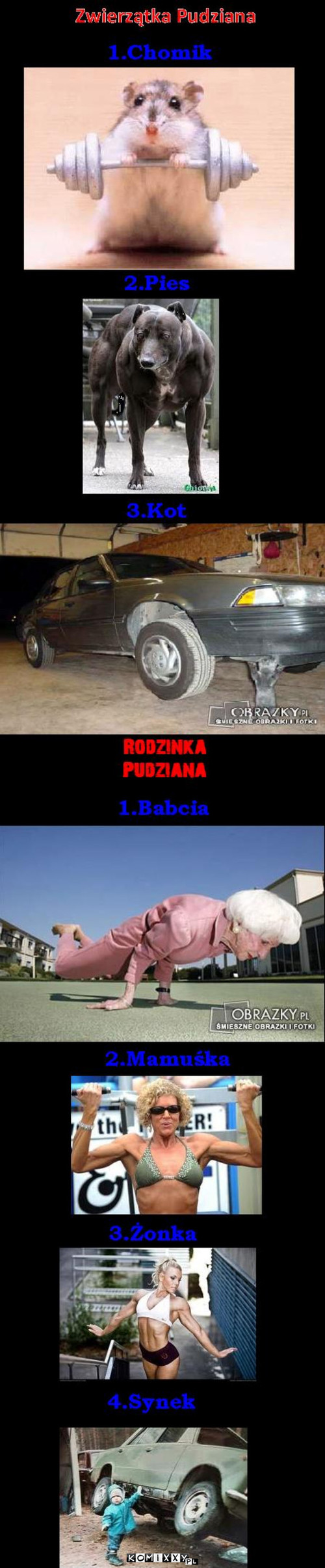 Rodzinka i zwierzaki Pudziana –  