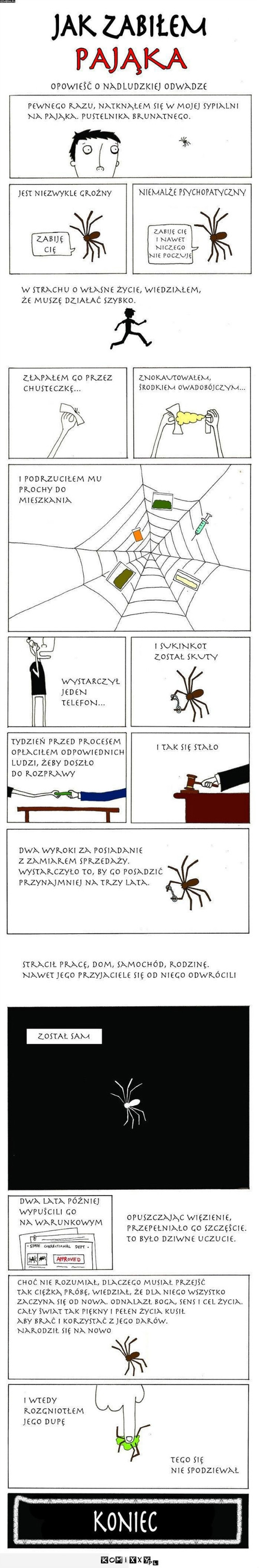 Jak zabiłem pająka –  