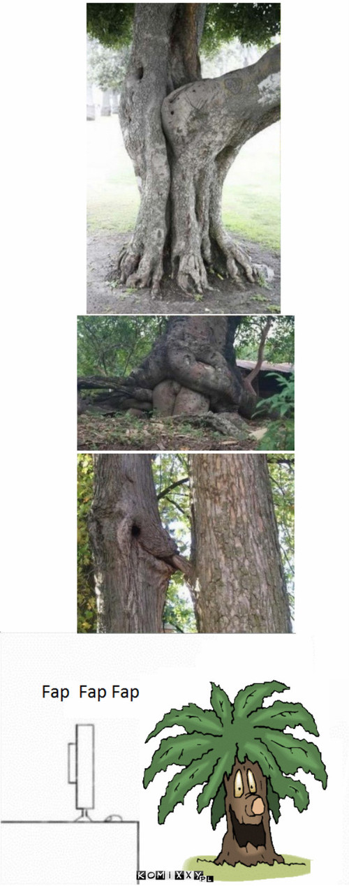 Leśne porno –  