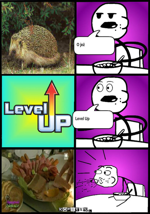 Level Up jeż – O jeż Level Up 