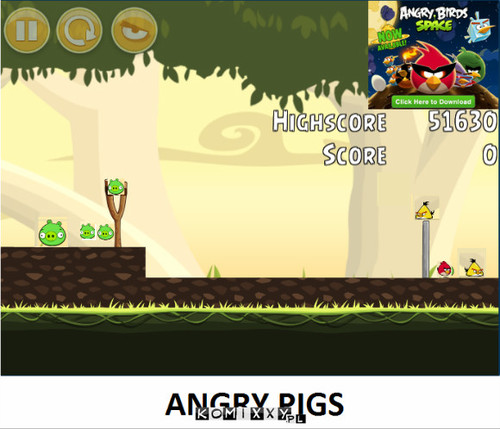 Angry Pigs –  