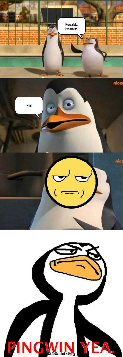 Pingwin Yea – Kowalski, baczność! Nie! 