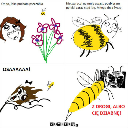 Różnica między pszczołą a osą –  