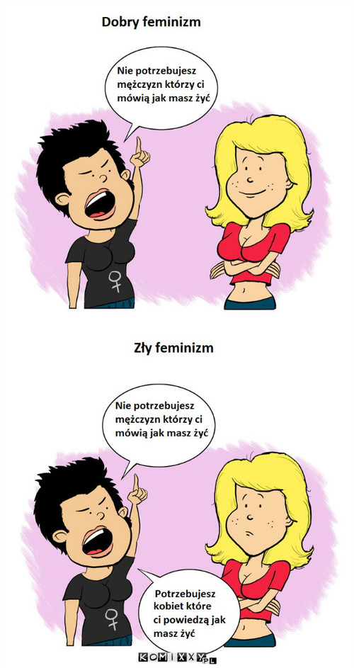 Feminizm –  