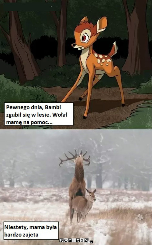 Bambi –  