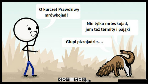 Mrówkojad –  