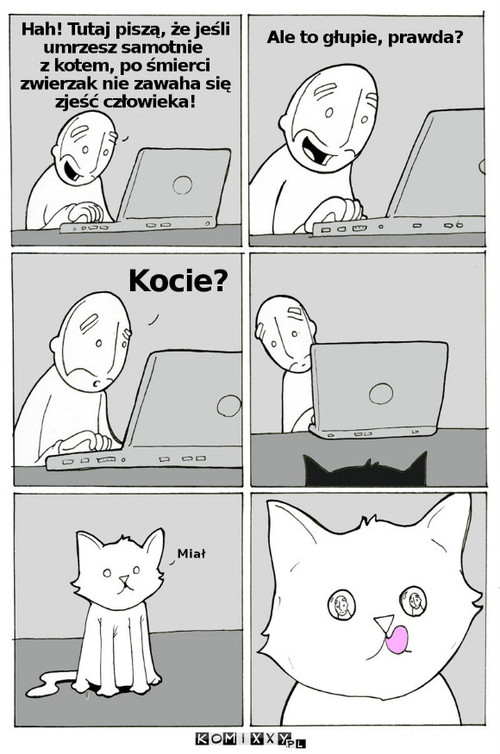 Kocie? –  