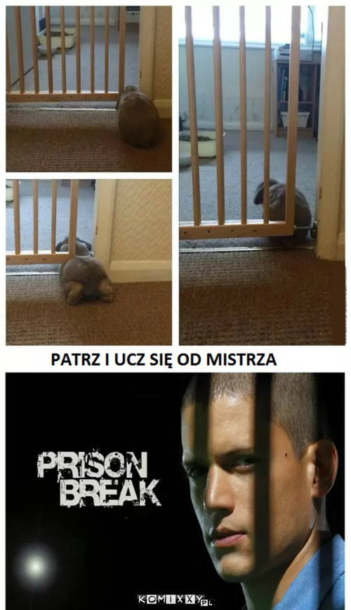 Łatwo i przyjemnie –  