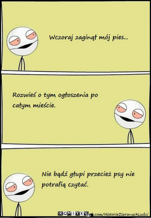 Zaginął pies –  