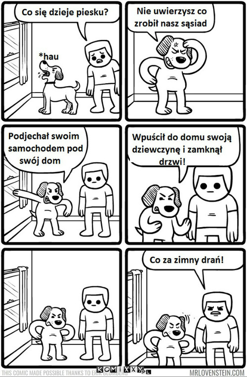 Psy widzą wszystko –  