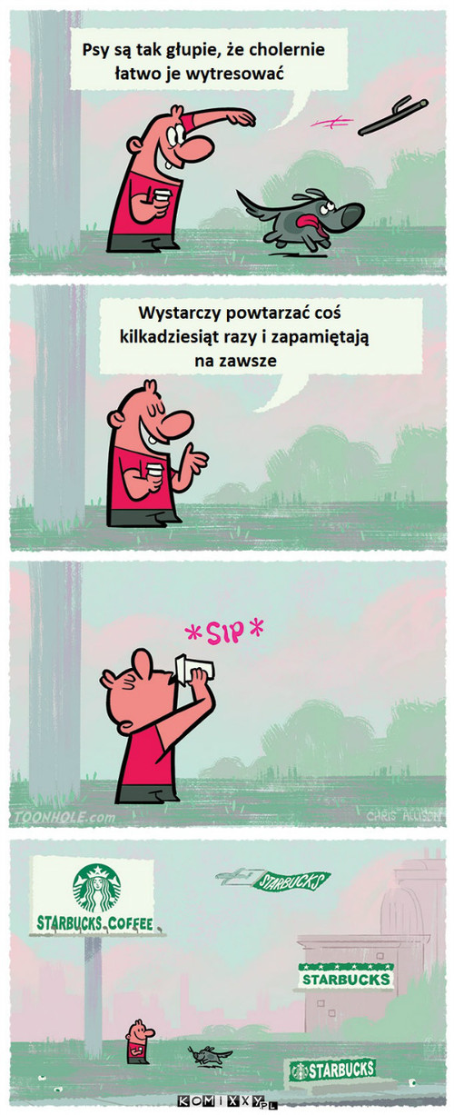 Psy są głupie –  