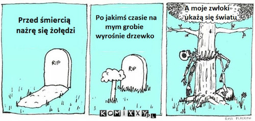 Świetny plan –  