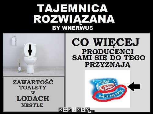 TAJEMNICA NESTLE SCHOLLER –  