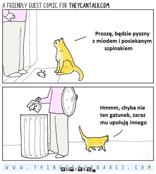Miły kotek –  