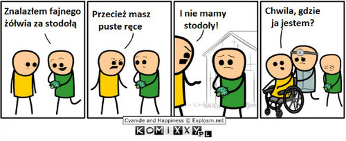 Żółw –  