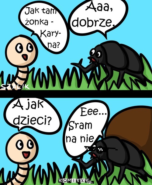 Żuk gnojowy –  