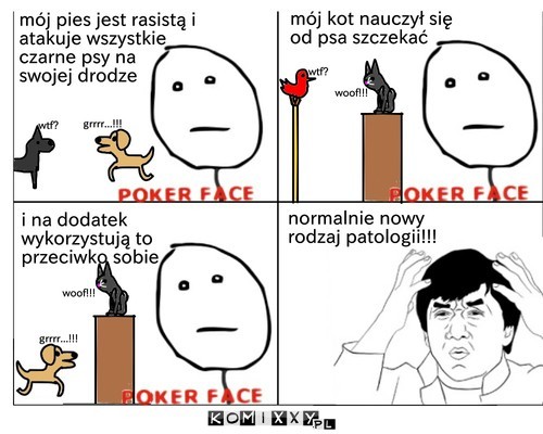 Patologia się rozwija –  