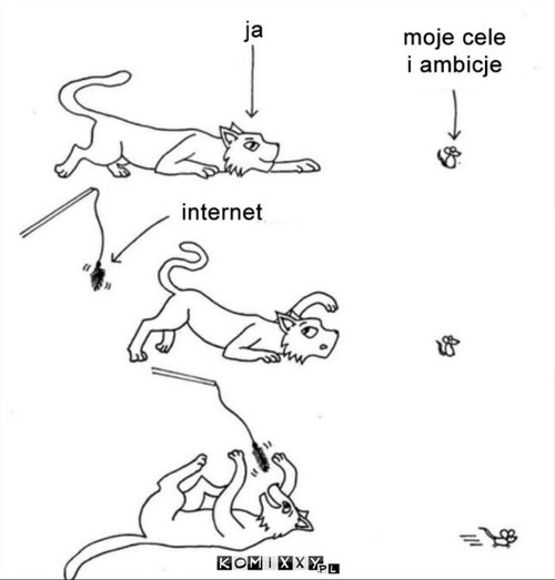 Moje życie –  