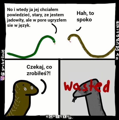 Wężowe pogawędki –  