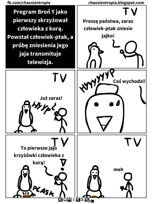 Człowiek-ptak –  