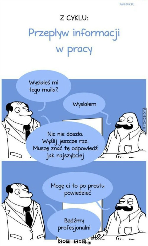 Profesjonaliści –  