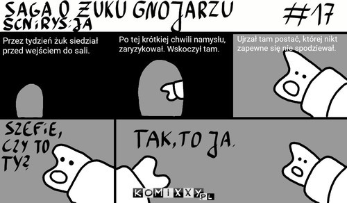 Saga o żuku gnojarzu #17 –  