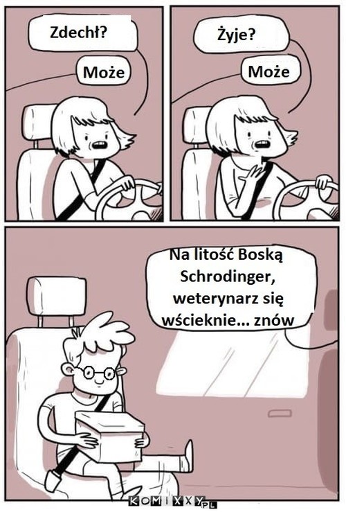 Młody Schrodinger –  