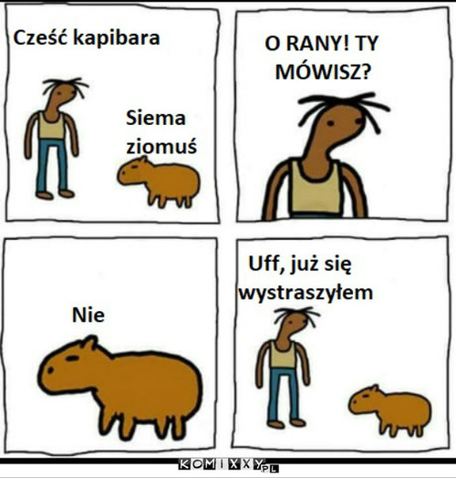 Po co zagadywał? –  