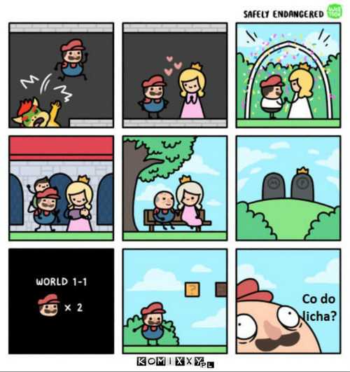Mario –  