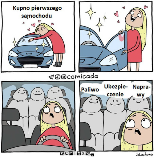 Pasażerowie na gapę –  