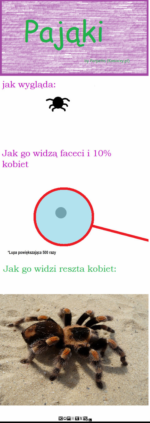 Pająki – *Lupa powiększająca 500 razy 