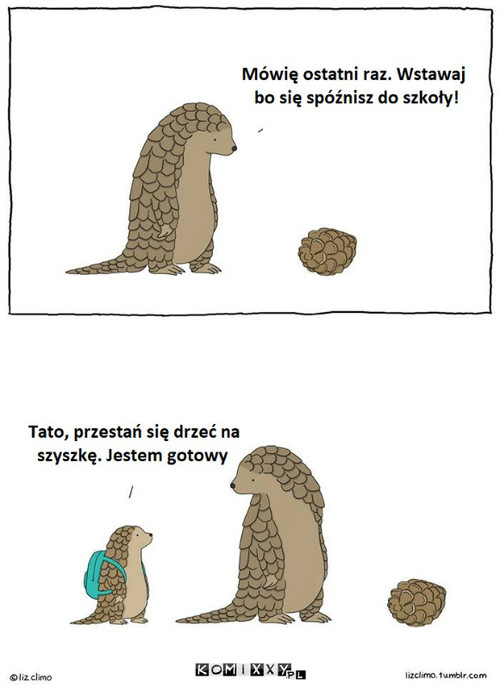 Tato, ale ja już jestem gotowy –  