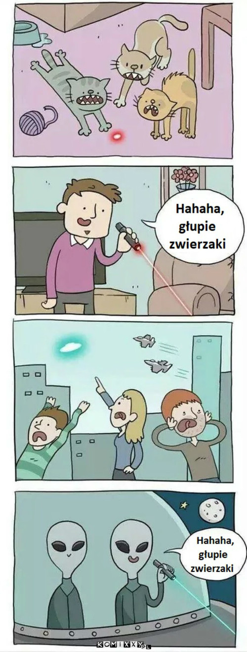 Głupie zwierzaki –  