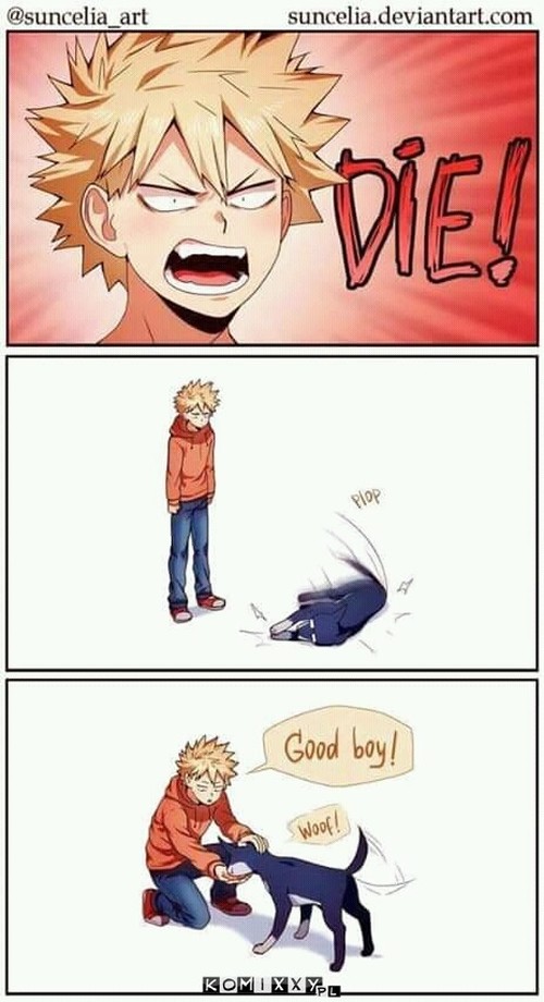 Pies Bakugo –  