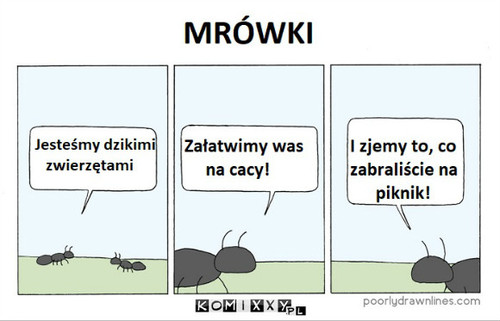 Dzikie zwierzęta –  