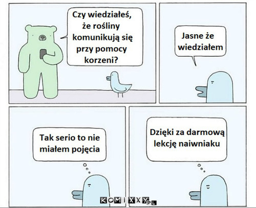 Czy wiesz że... –  