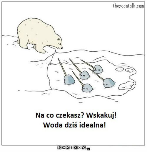 Śmiało! –  