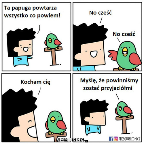 Papuga –  