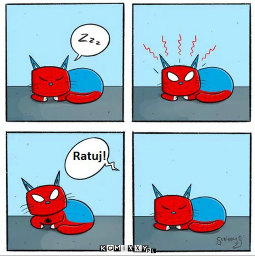 Kot- pająk –  