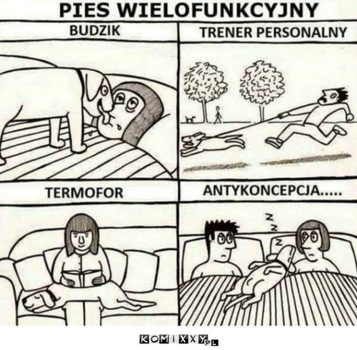 Pies wielofunkcyjny –  