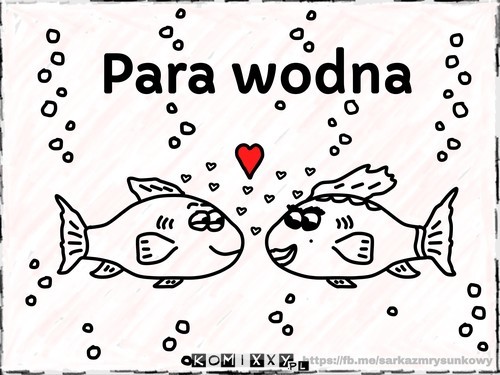 Para wodna –  