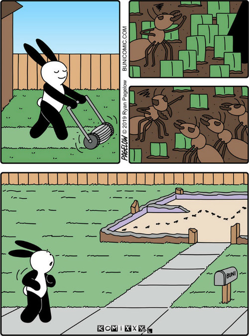 Buni –  