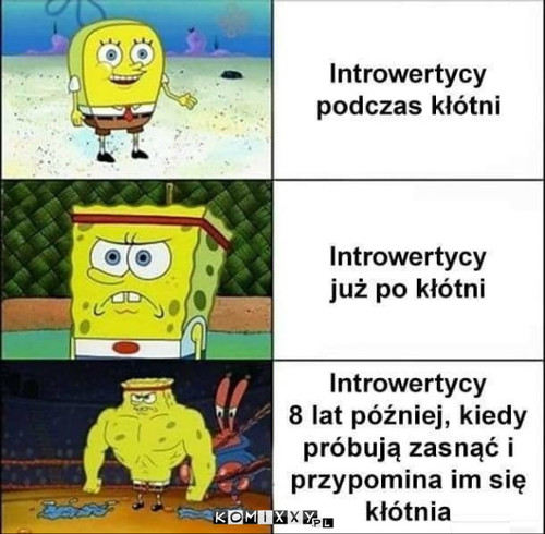 Introwertyk –  