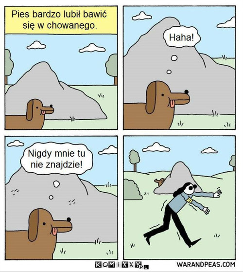 Zabawa w chowanego –  