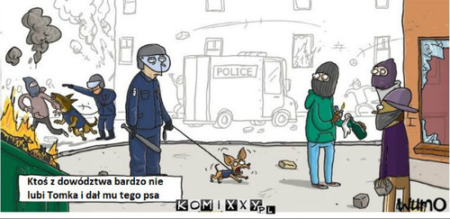 Pies policyjny –  